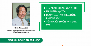 ava đông nam á học