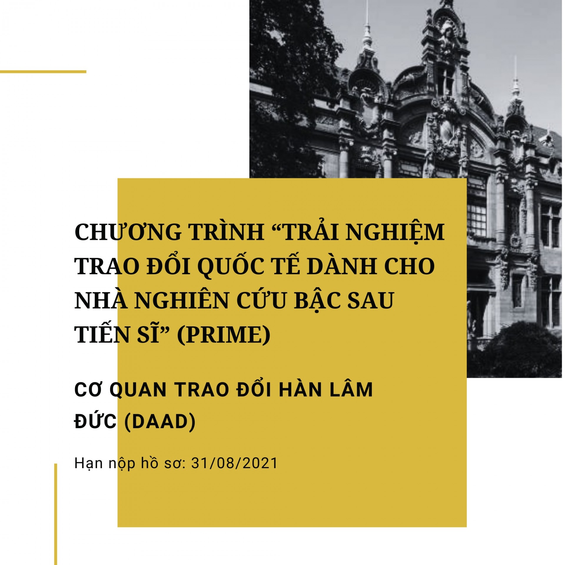 2021 06 06 Chương trình postdoc PRIME DAAD